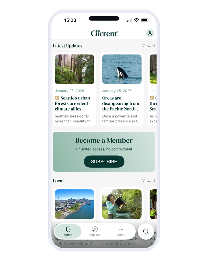 A phone on a white background showing the home of a news app. A row of article cards scrolls horizontally; two of them carry a small round chip before their title, the third has none. Under that row, a full-width coloured banner invites the reader to become a member, with a title, a line and a button. A second row of cards starts below, and a navigation bar floats at the bottom of the screen.